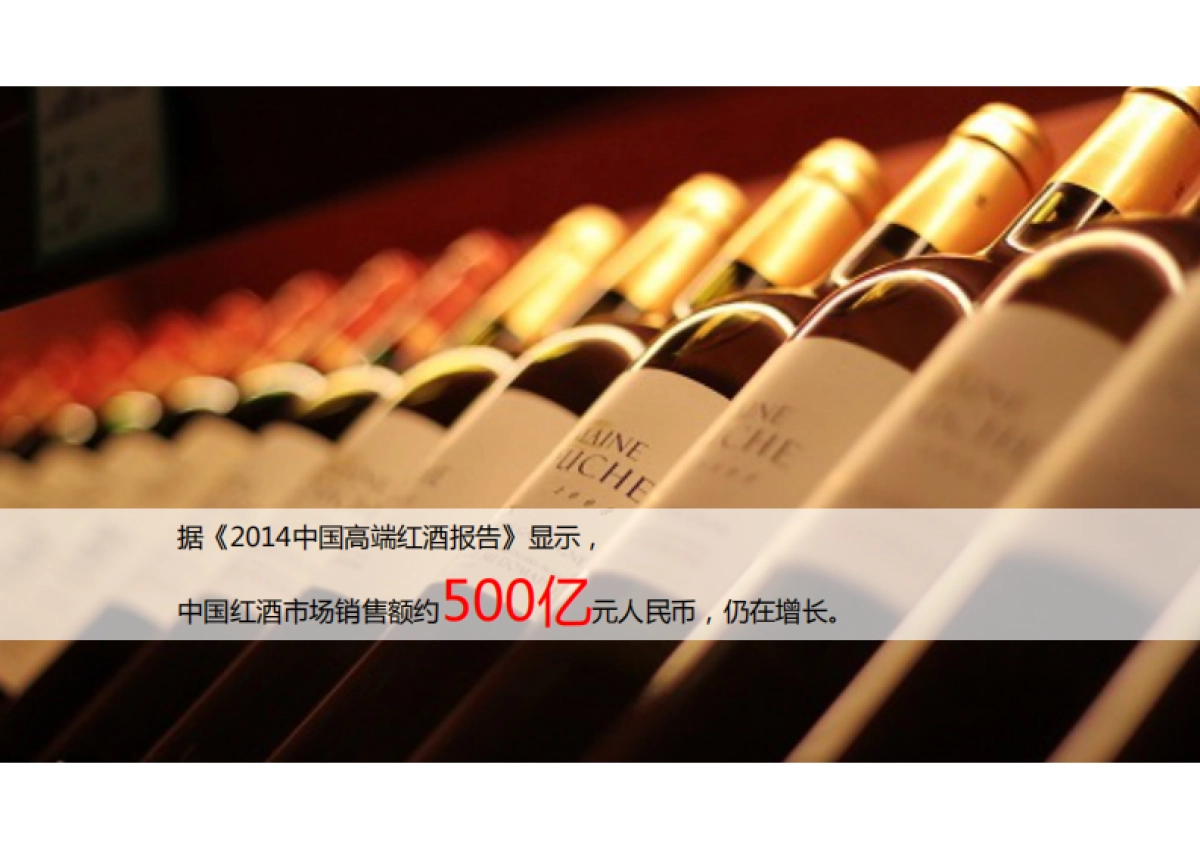 欧赛斯保醇酒业红酒品牌提升策划定位战略规划方案_第4页