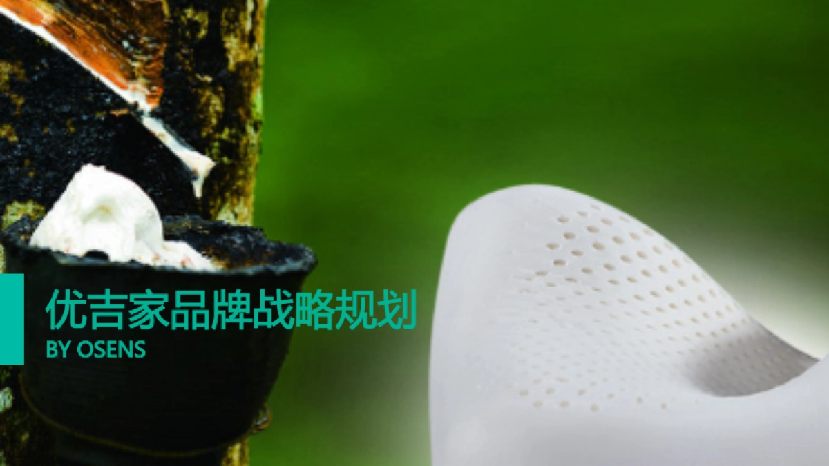 欧赛斯床垫品牌策划定位及战略规划方案_第2页