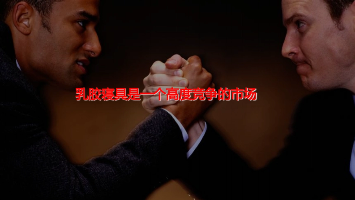 欧赛斯床垫品牌策划定位及战略规划方案_第3页