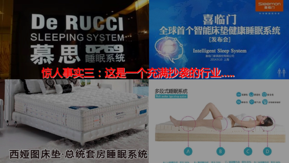 欧赛斯床垫品牌策划定位及战略规划方案_第7页