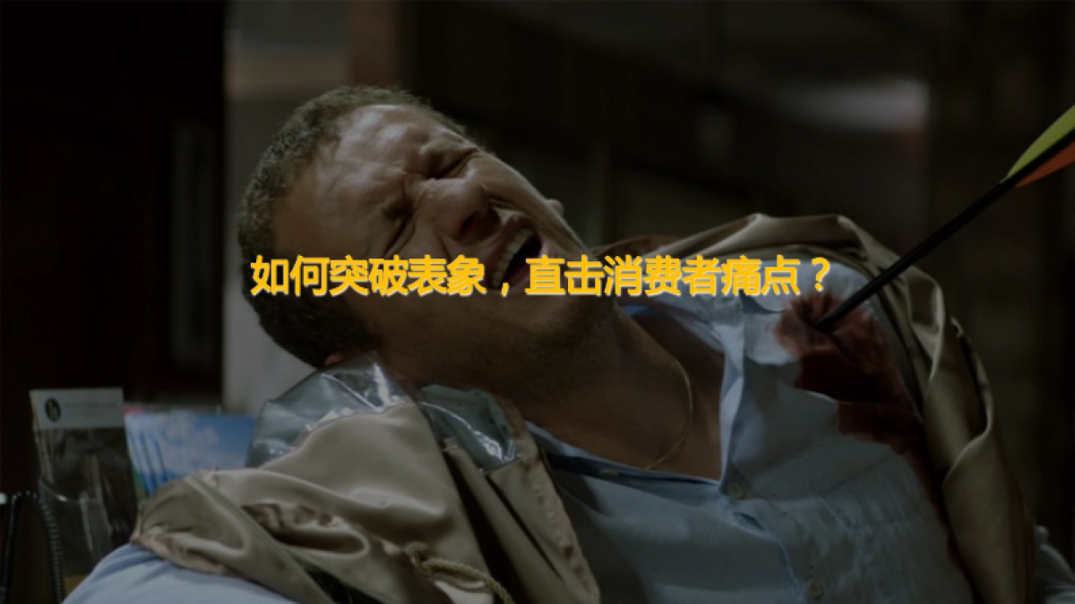 欧赛斯床垫品牌策划定位及战略规划方案_第9页