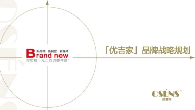 欧赛斯床垫品牌策划定位及战略规划方案