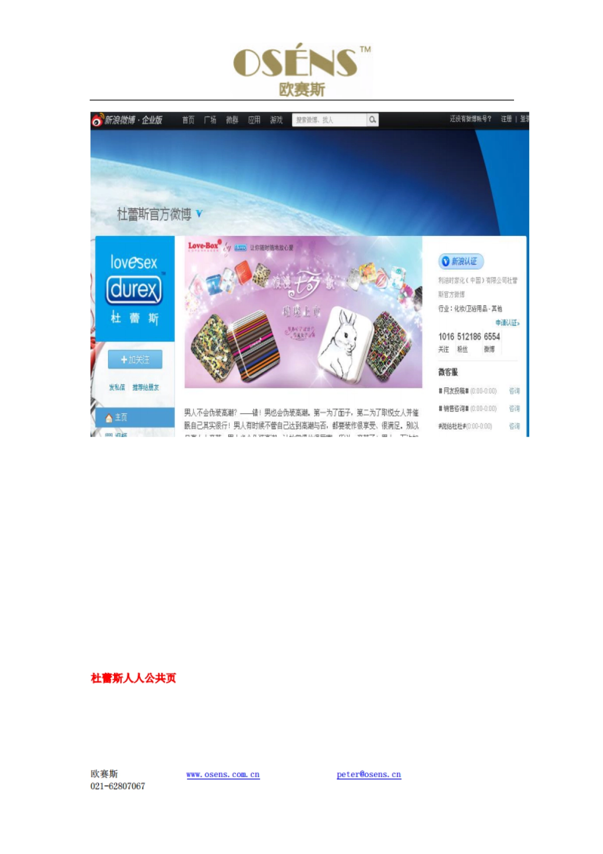 欧赛斯国学堂教育网络营销策划方案_第7页