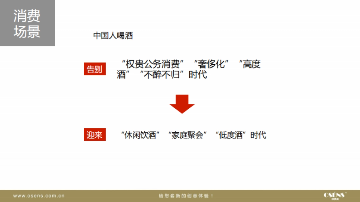 欧赛斯汉诺糯米酒时尚国民酒品牌核心价值挖掘策划定位策略方案_第6页
