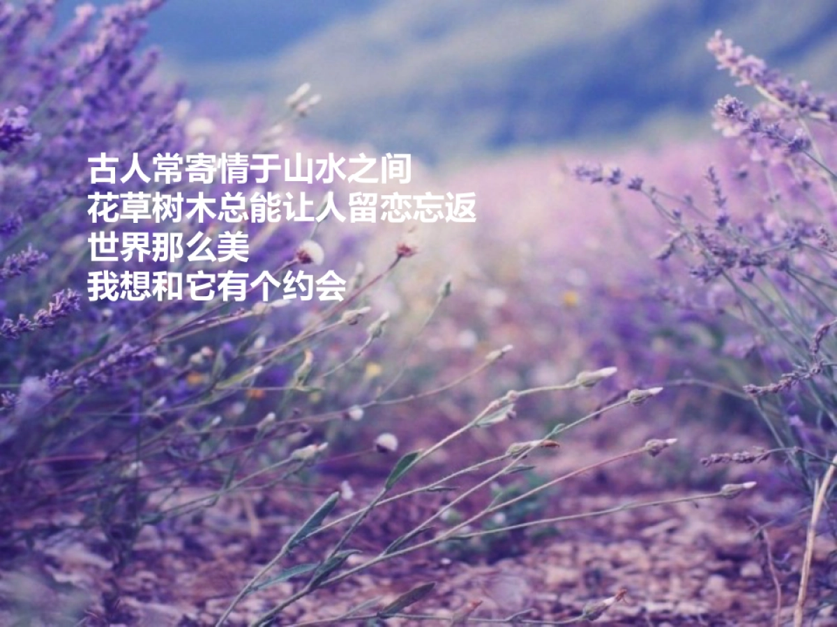 欧赛斯会佳紫海鹭缘方案_第10页