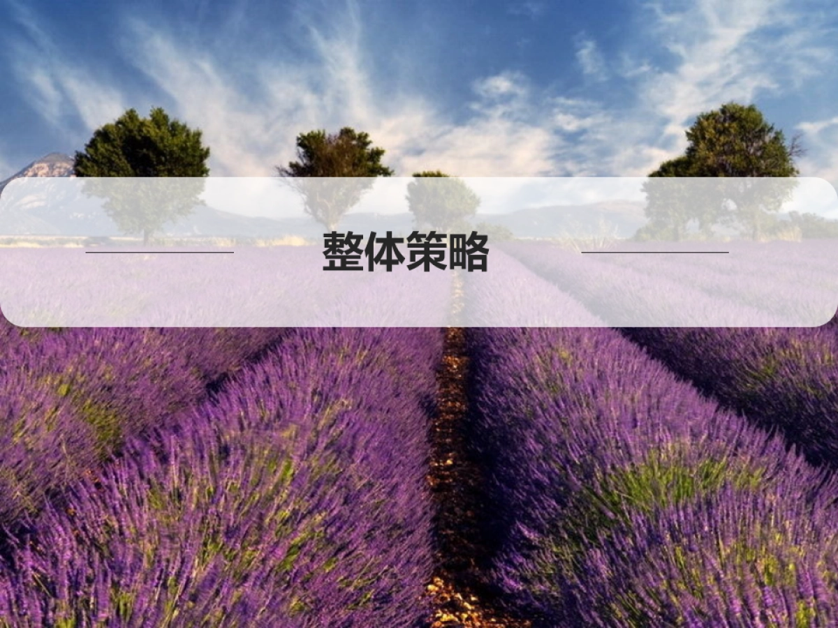 欧赛斯会佳紫海鹭缘方案_第3页