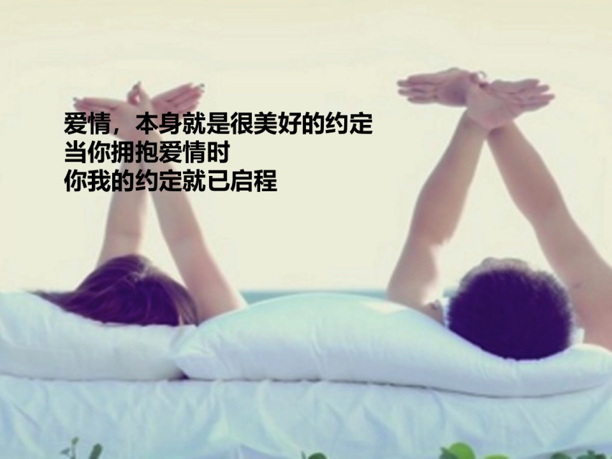 欧赛斯会佳紫海鹭缘方案_第7页