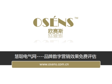 欧赛斯慧聪电器网在线营销推广效果评估