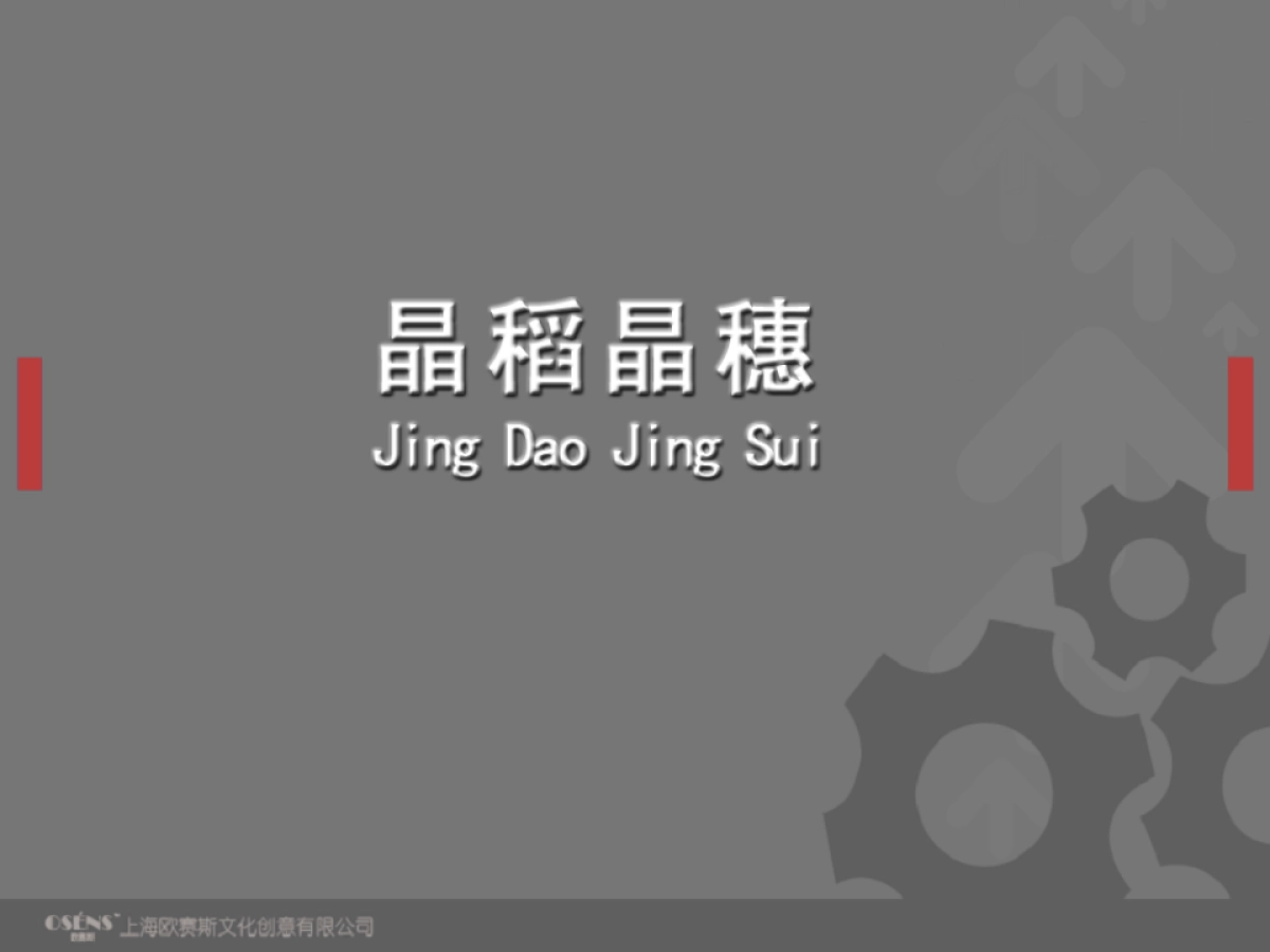 欧赛斯晶稻晶穗品牌设计规划手册方案_第1页