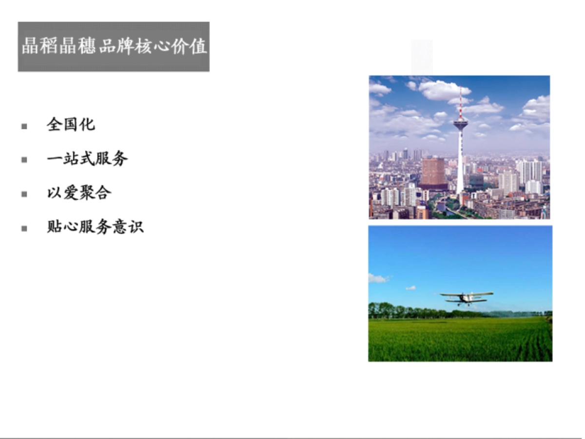 欧赛斯晶稻晶穗品牌设计规划手册方案_第8页