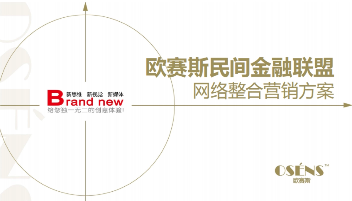 欧赛斯民间金融联盟数字营销方案_第1页