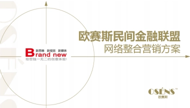 欧赛斯民间金融联盟数字营销方案