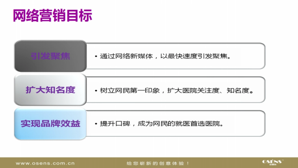 欧赛斯明州医院私立医院网络营销品牌传播方案_第7页