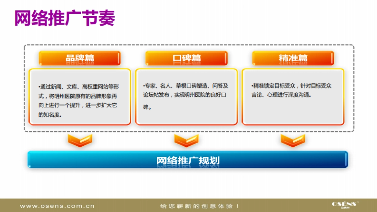 欧赛斯明州医院私立医院网络营销品牌传播方案_第8页