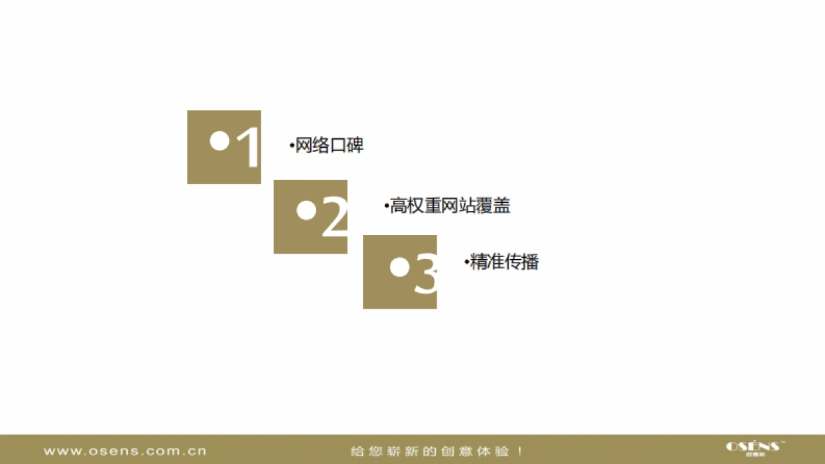 欧赛斯明州医院私立医院网络营销品牌传播方案_第9页