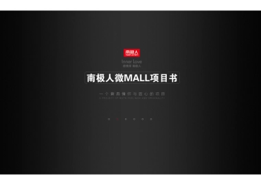 欧赛斯南极人微mall快时尚品牌项目书参考版