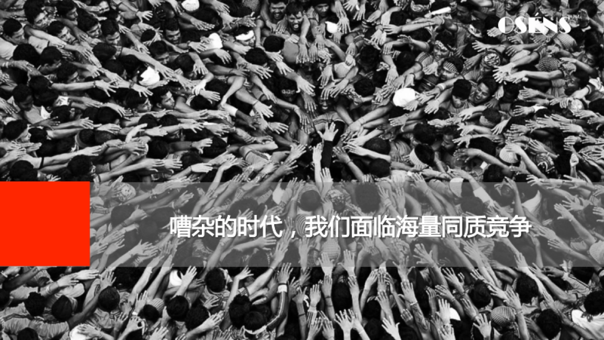 欧赛斯品牌策划定位大思路_第2页