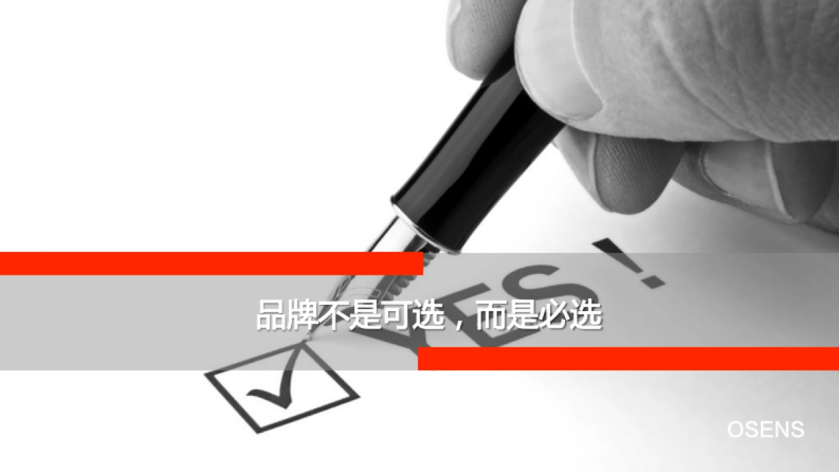 欧赛斯品牌策划定位大思路_第3页