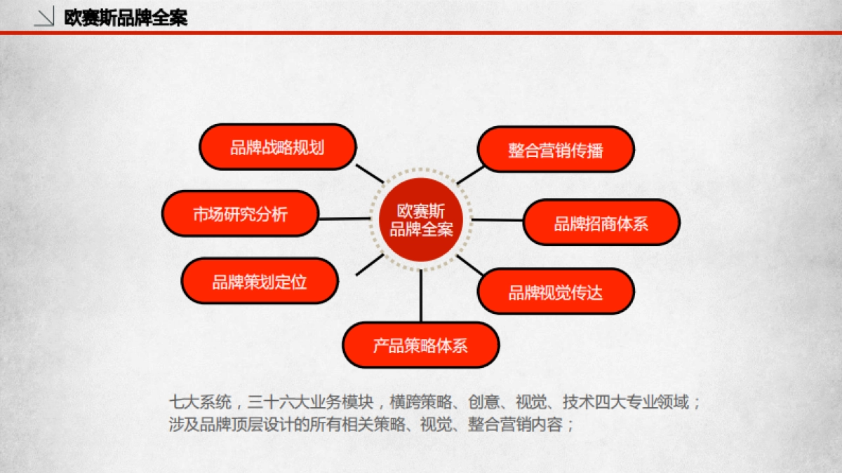 欧赛斯品牌策划定位大思路_第9页