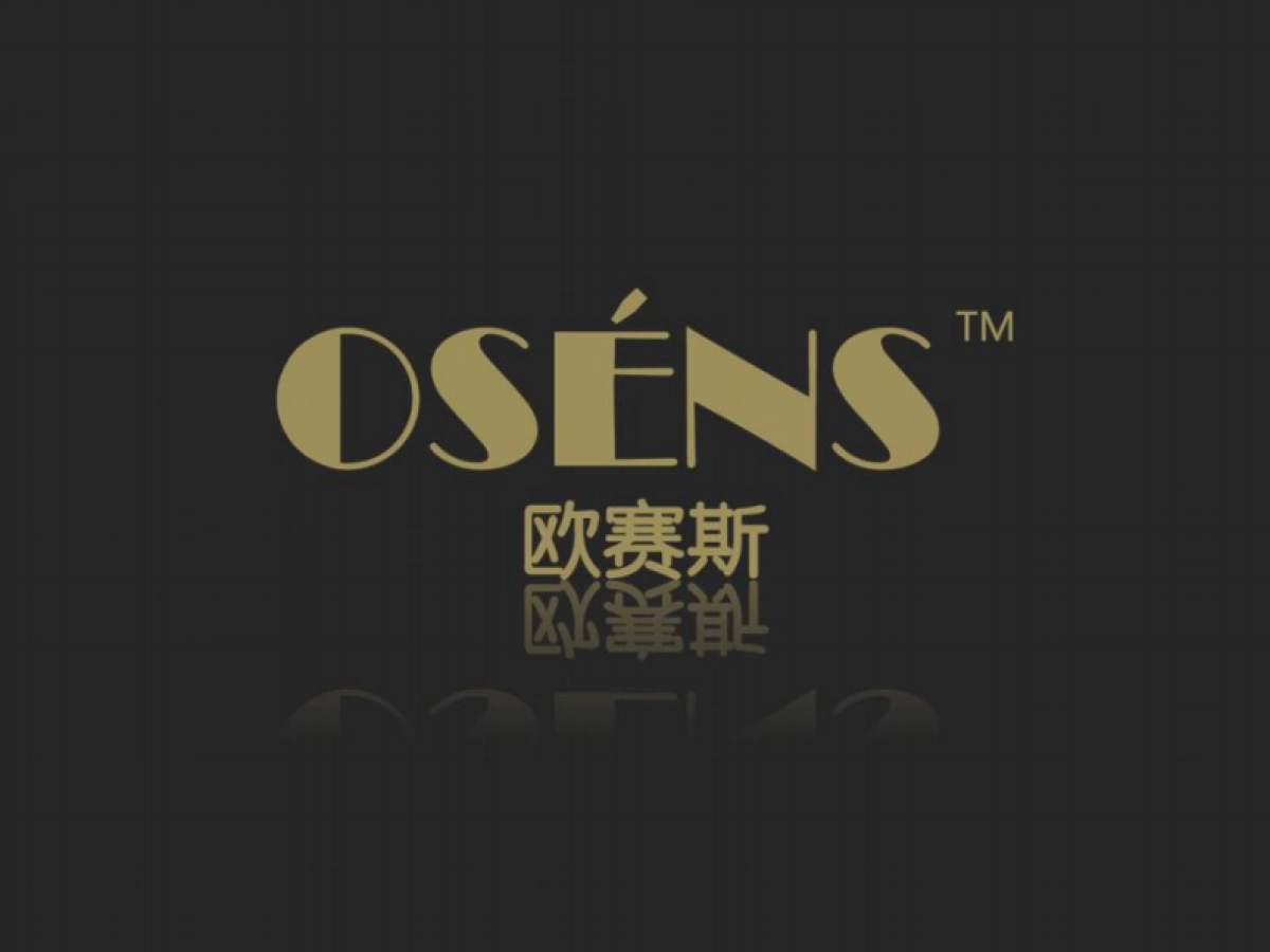 欧赛斯时尚产业ERP软件领导企业伯俊精准营销月报_第1页