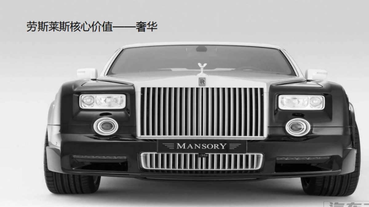 欧赛斯椰珍香椰子油保健食品品牌定位策略规划_第10页