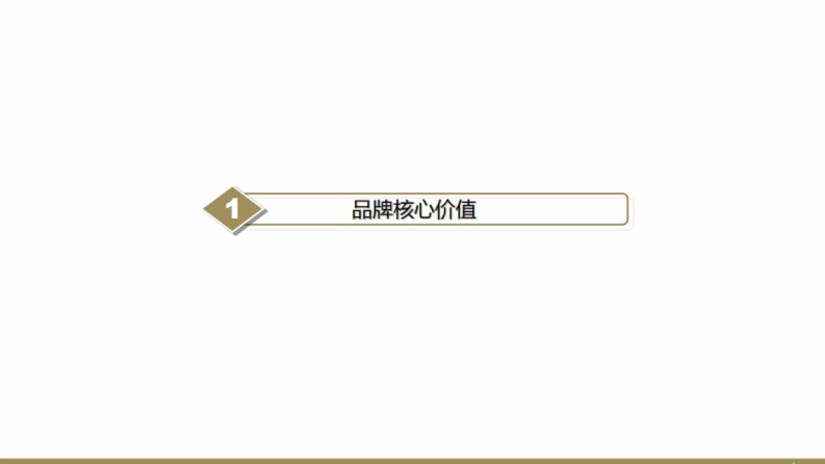 欧赛斯椰珍香椰子油保健食品品牌定位策略规划_第4页