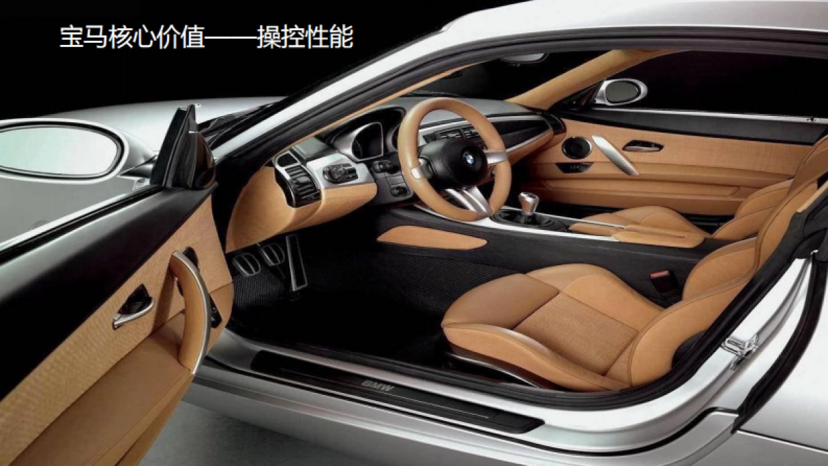 欧赛斯椰珍香椰子油保健食品品牌定位策略规划_第8页