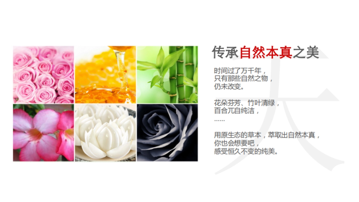 欧赛斯御泥坊化妆品面膜品牌体验店连锁店铺设计规划_第9页