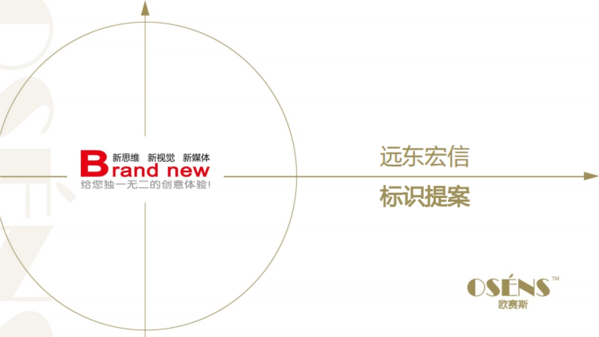 欧赛斯远东宏信品牌形象打造项目方案_第1页