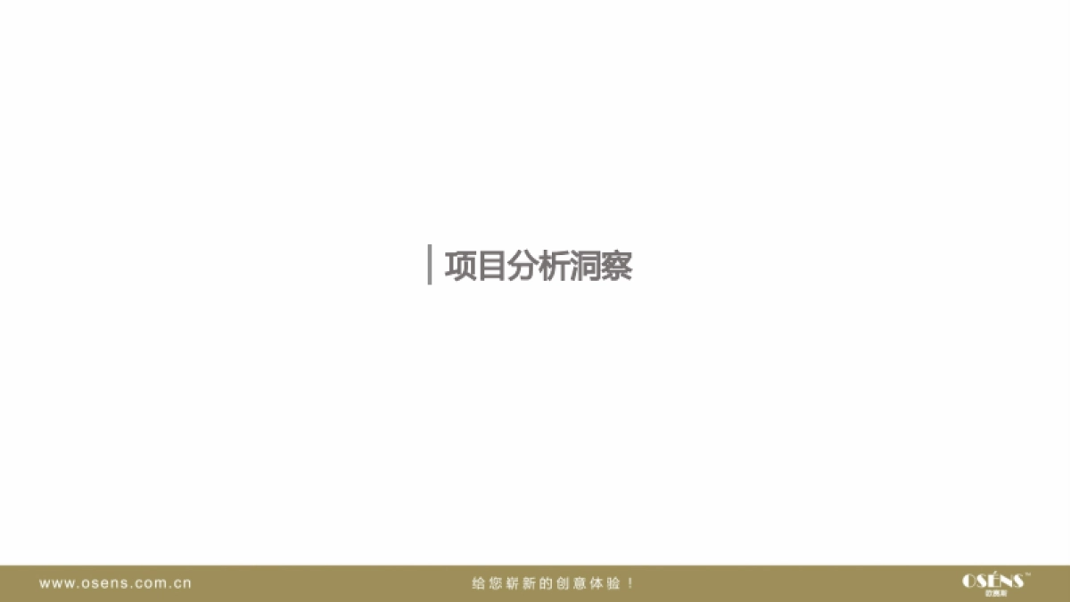 欧赛斯远东宏信品牌形象打造项目方案_第2页