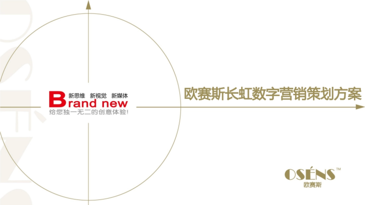 欧赛斯长虹2017年度数字营销策划方案_第1页