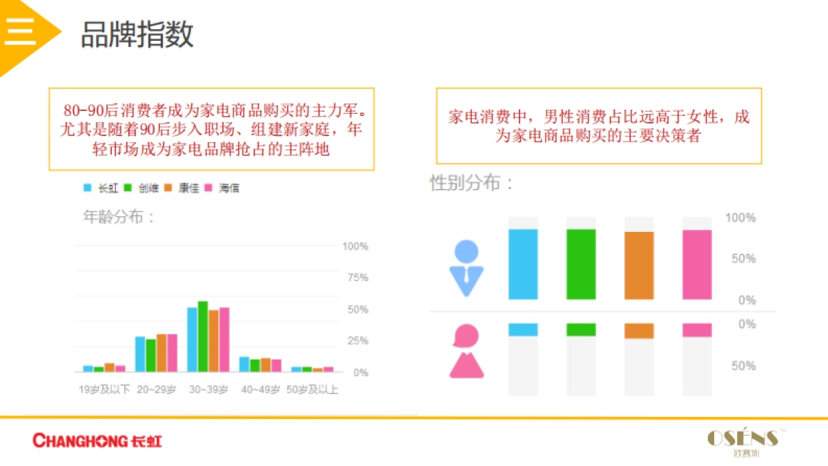 欧赛斯长虹2017年度数字营销策划方案_第8页