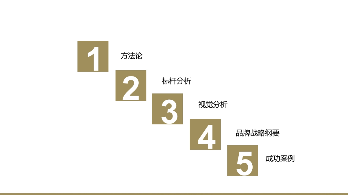 欧赛斯中财沃顿品牌战略规划思路方案new_第2页