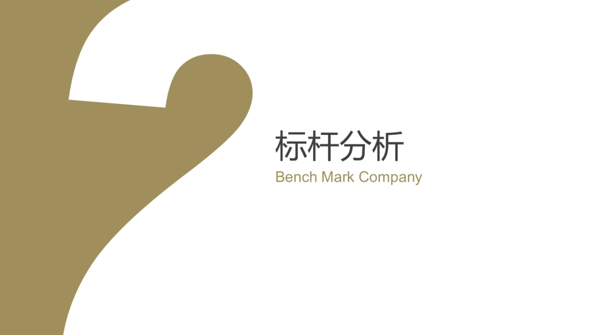 欧赛斯中财沃顿品牌战略规划思路方案new_第7页