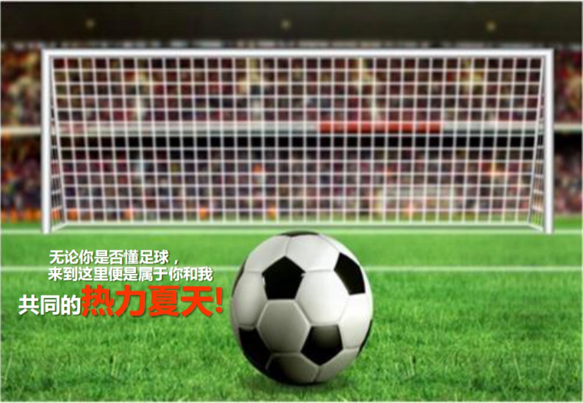 热力沙滩赛-乐享世界杯策划案(光大)_第8页