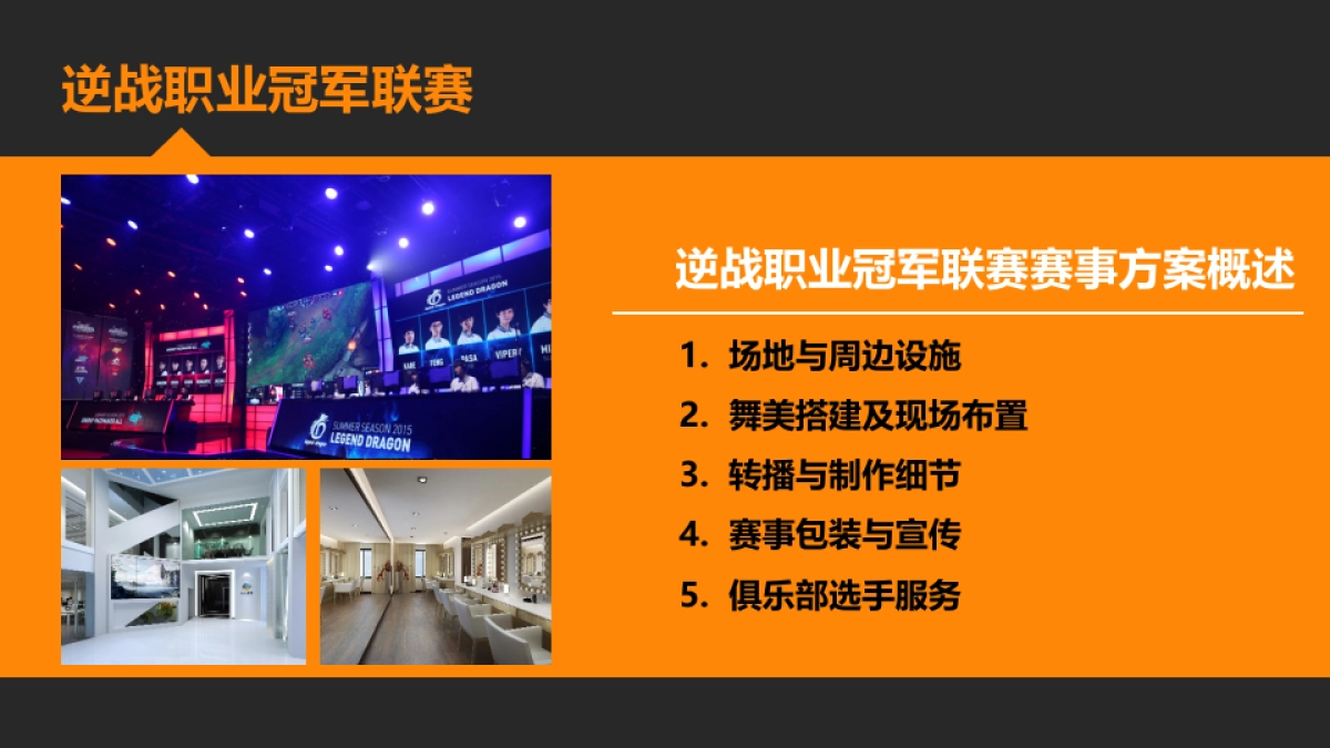 赛事方案_逆战职业冠军联赛_第3页
