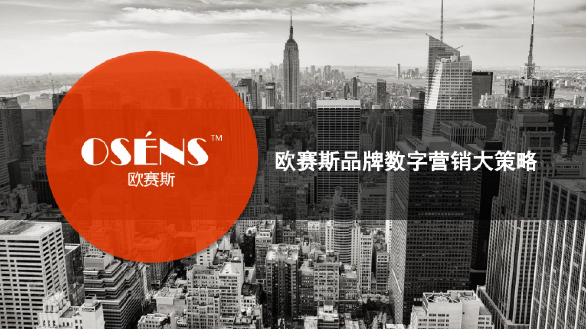 数字时代大品牌-欧赛斯数字营销大策略 280页_第1页