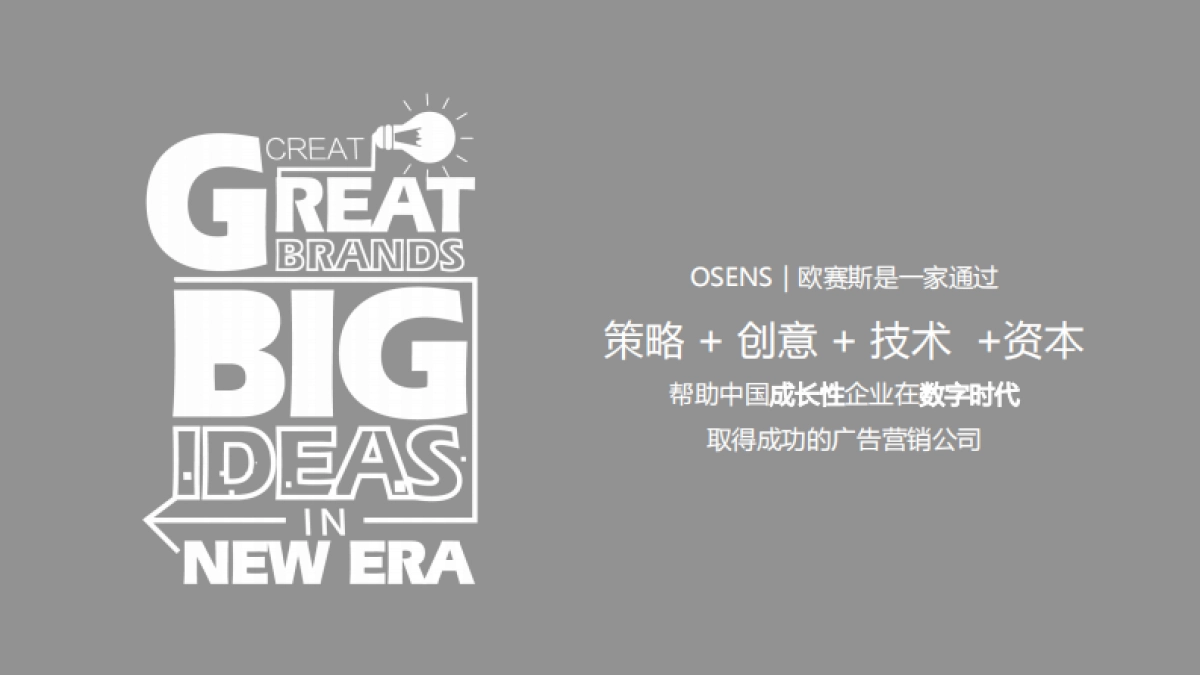 数字时代大品牌-欧赛斯数字营销大策略 280页_第2页