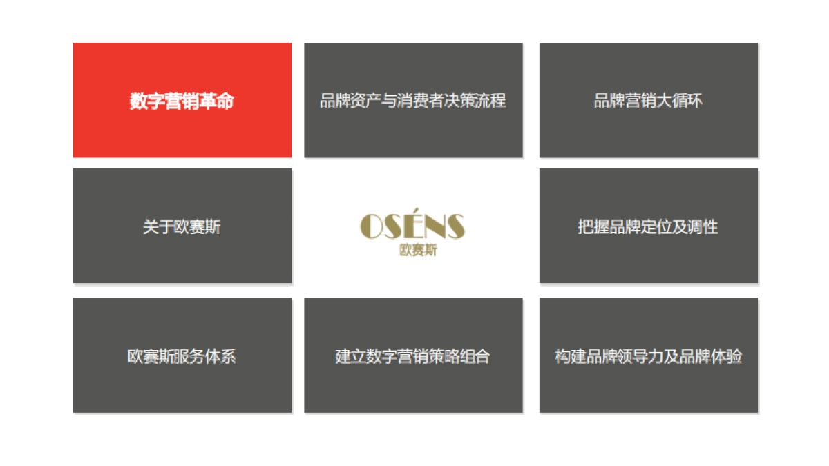 数字时代大品牌-欧赛斯数字营销大策略 280页_第3页