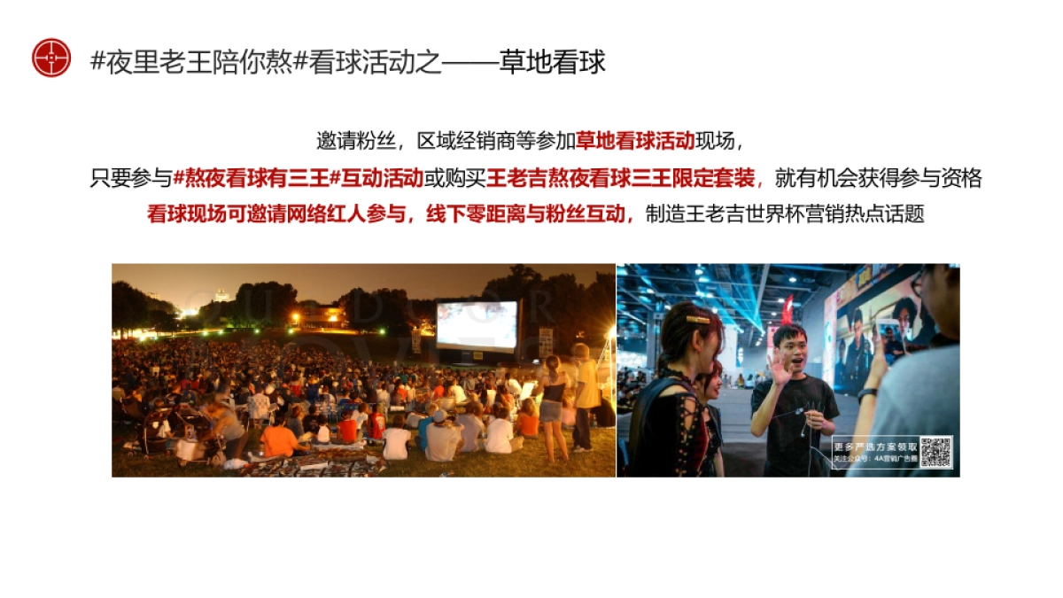 王老吉世界杯营销方案_第10页