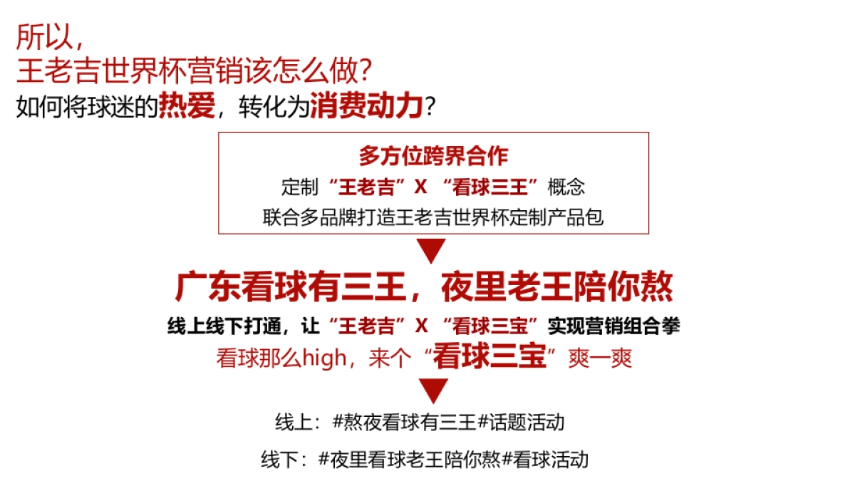 王老吉世界杯营销方案_第5页