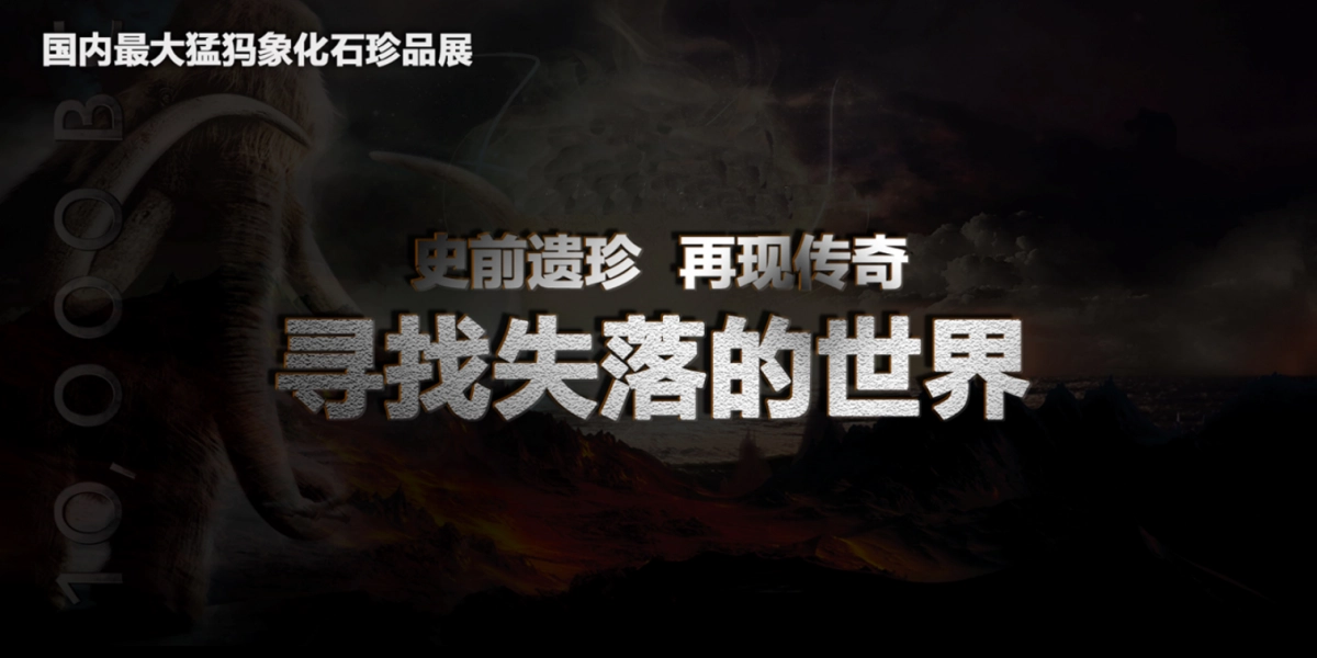 2017鼎峰尚境猛犸象执行方案_第2页