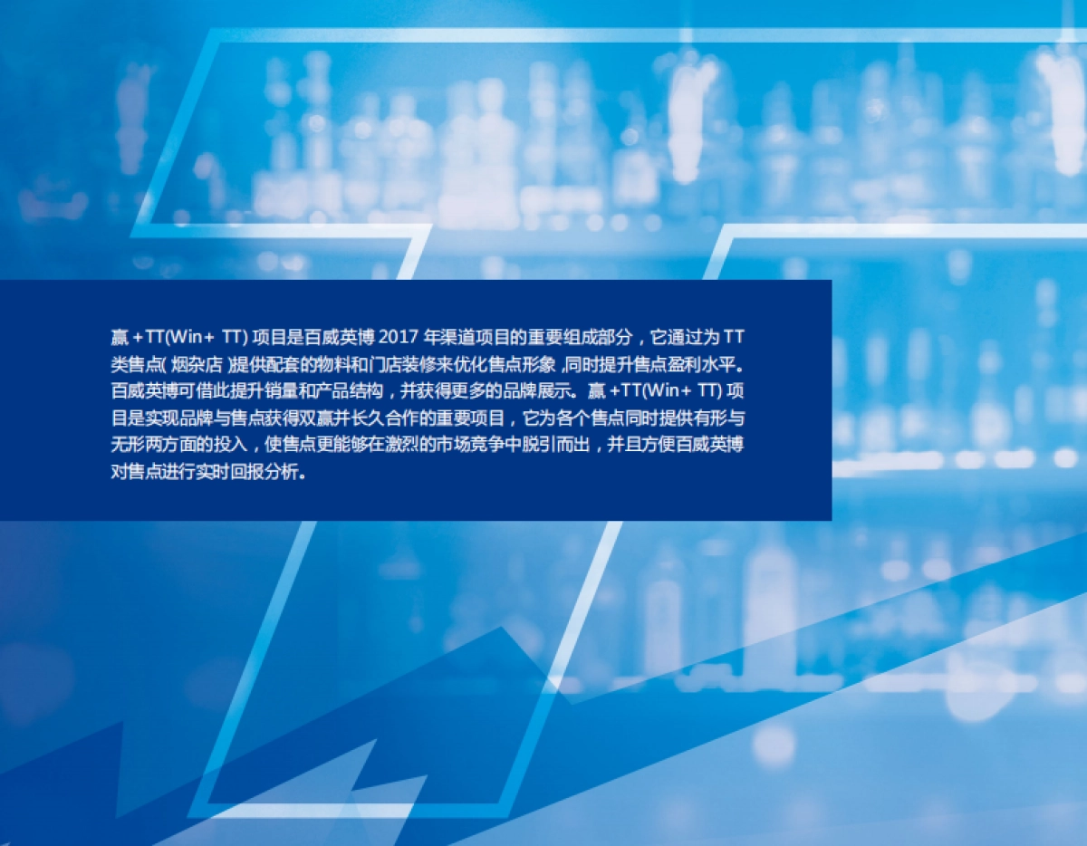 2017哈尔滨白啤TT渠道项目执行手册_第2页