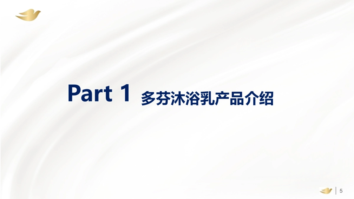 2018多芬春季路演活动执行手册_第5页
