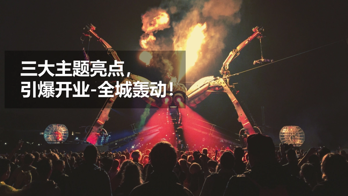 2018呼和浩特花生小镇五一开业及暖场嘉年华活动执行全案_第5页