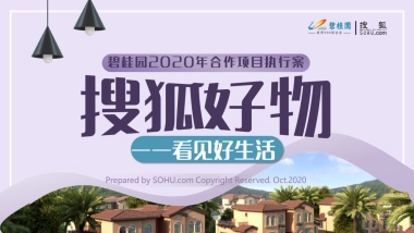 2020搜狐好物×碧桂园合作执行方案-32P