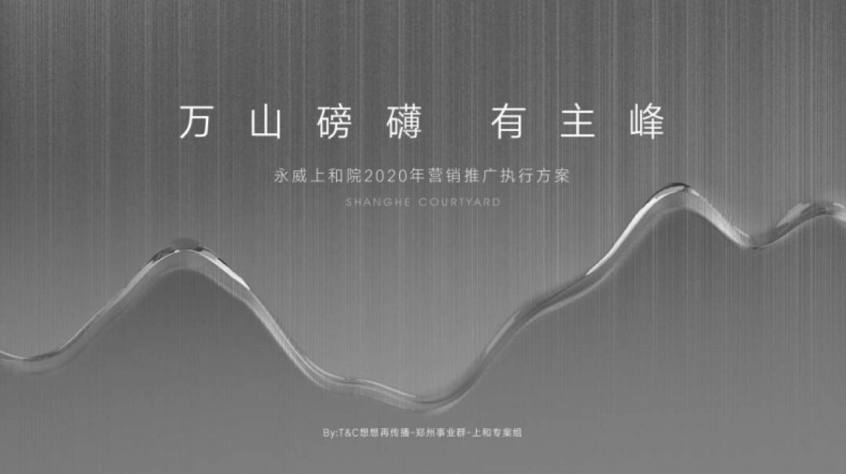 2020郑州顶豪永威上和院年度推广执行案-想想再_第2页