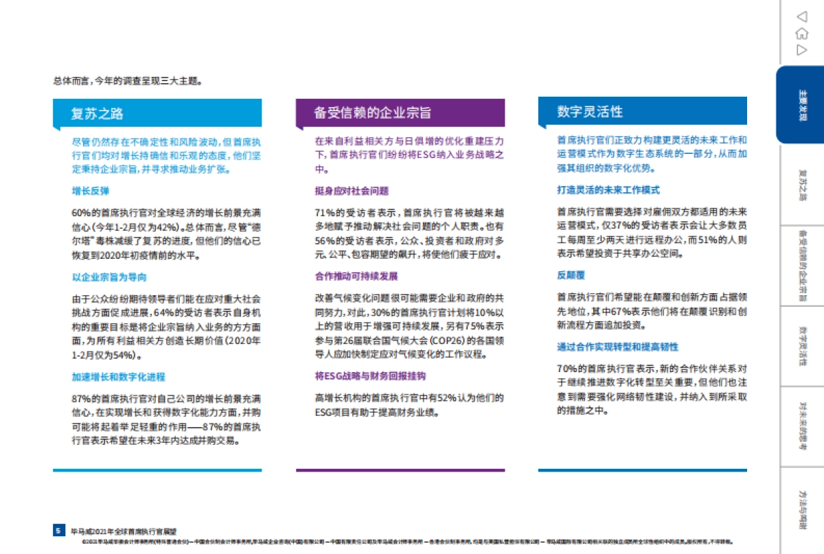 2021年全球首席执行官展望_第5页