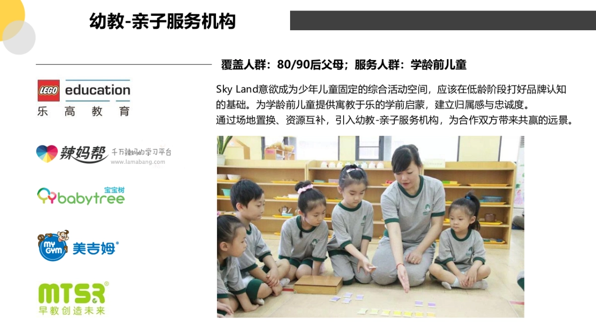 Skyland-创意执行规划_第8页