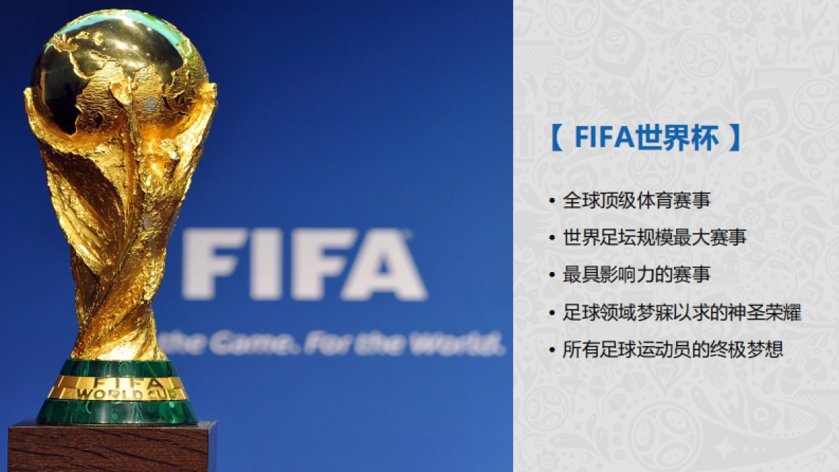 VIVO&FIFA世界杯执行策略研讨会Workshop-310P_第5页